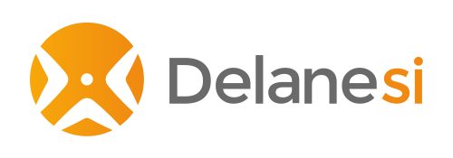 nouveau logo Delane SI